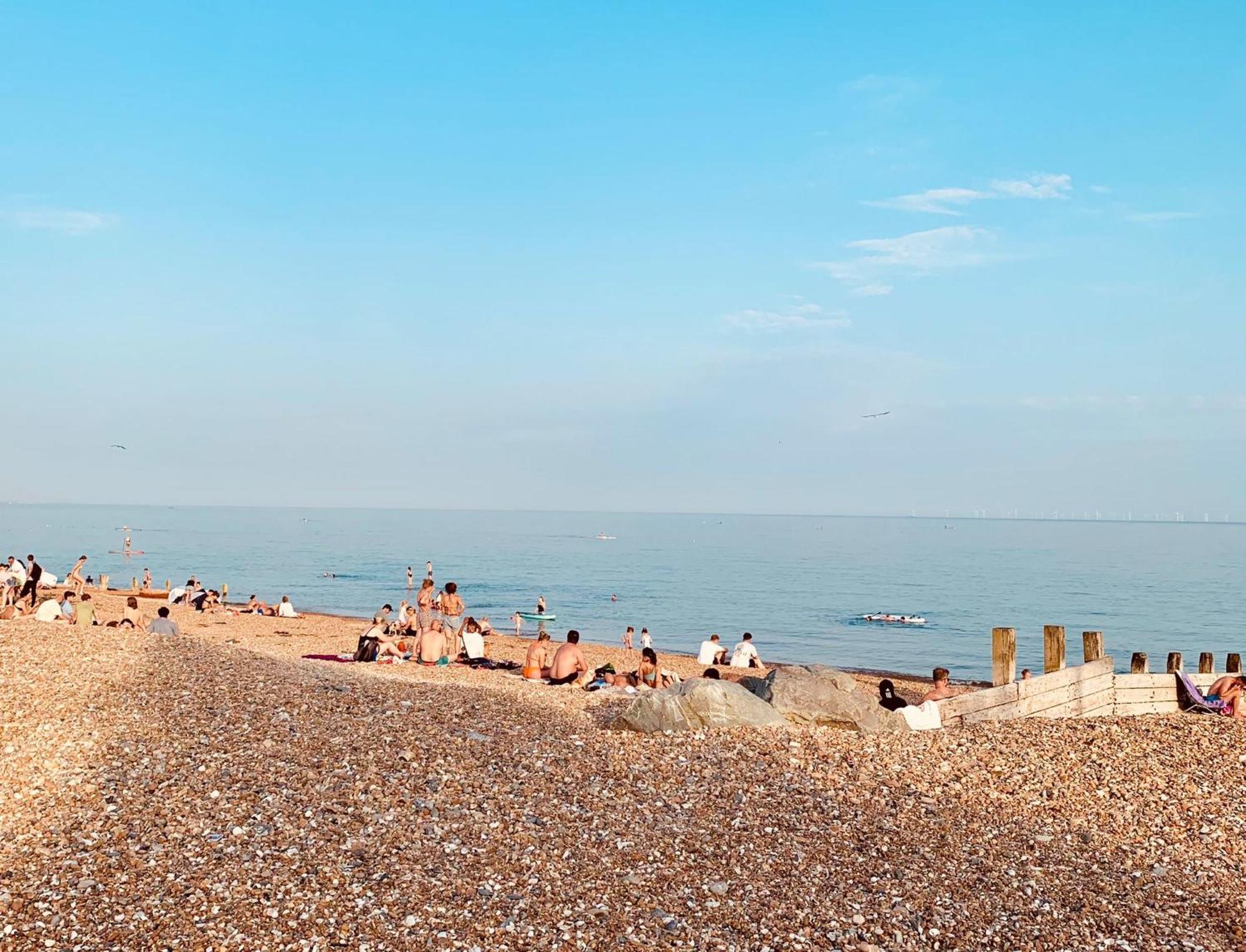 Birdsong & Pine: Parking & Garden * Worthing